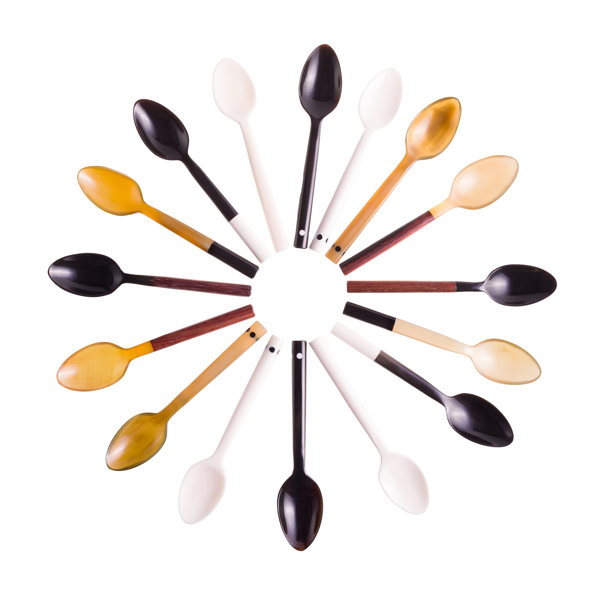 A clock shaped layout of assorted horn egg spoons